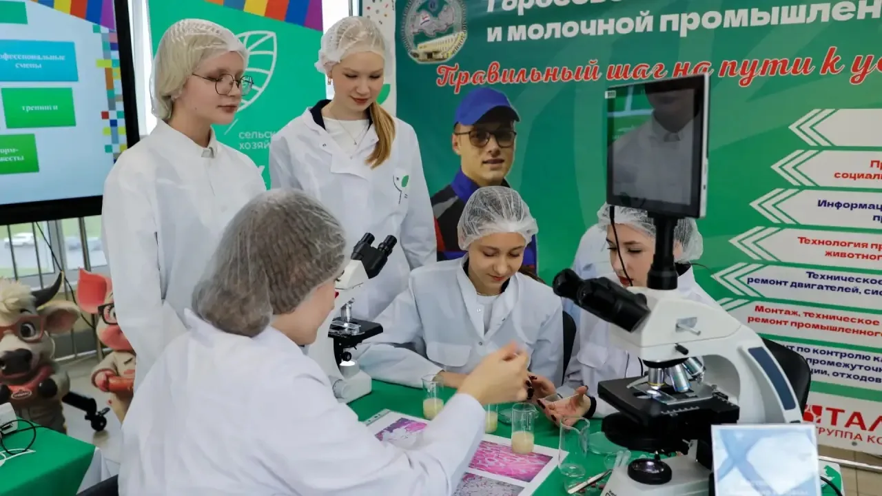 Изображения.